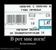 5.webp