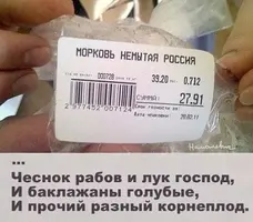 5а.webp