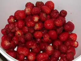 Клубника для Каталина.webp