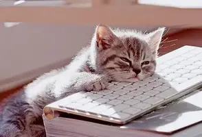 скучно дома.webp