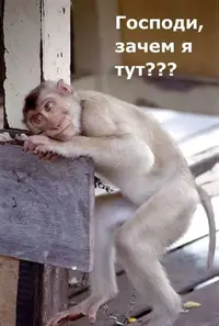 i4.webp