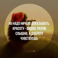 35aa88714a7c24657c9542622d2fbad0.webp