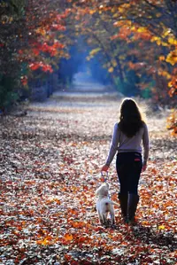 IMG_9438.webp