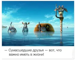 3a7c18ec6e82eac3d8bf19396bb0ac1b--awesome-quotes-cartoons.webp
