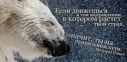 citata-62.webp
