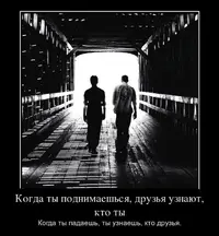 28.webp