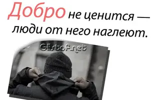 55612452 (1).webp