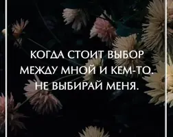 824d41a2c2ff31c2a8afe8e1c8d864f7.webp