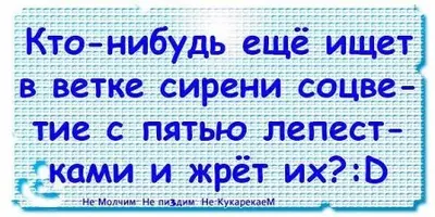 1320581320_getimageca4kyolr.webp