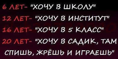 1320581384_getimagecad4xx0t.webp