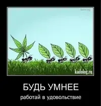 i345678.webp
