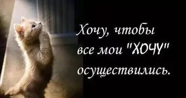 i12345678970.webp