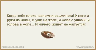 292215.webp