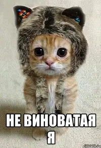 c7f45e3630e9e4d3ab401ce0cd04706c.webp