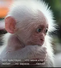 224AABC7-EFC2-432B-A21E-D9CD47625379.webp