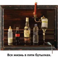 IMG-20171109-WA0017.webp