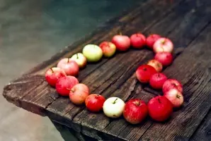 fb74ab4582a3ff794e8aee24bbda33f6.webp