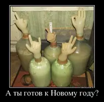 177641.webp
