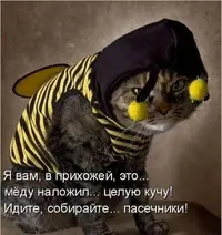 1328210041_1325713313_1325505352_1.webp