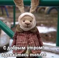 4D2BB8C8-F156-45CA-8426-38A018A1B0B7.webp