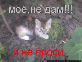 a41148b368f67f079e135832f86b20d9.webp