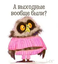 IMG_20171126_234722.webp