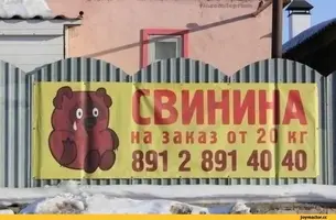 всё-плохо-разное-свинина-винни-пух-1550861.webp