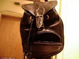 2D95D4F200000578-0-image-a-8_1445335021879.webp