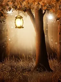 background-2887350_960_720.webp
