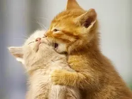 imgs_touch-2.webp