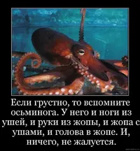 982221537c1f1ae40c2cbe878c0a9887.webp