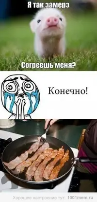 b374b7fa74b5ecaa0a38f0587f6035bf.webp