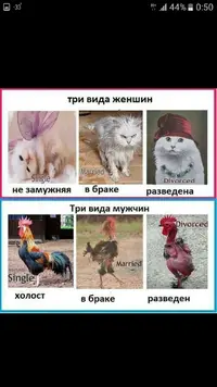 IMG-20171130-WA0007.webp