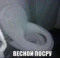 IMG-20171129-WA0019.webp