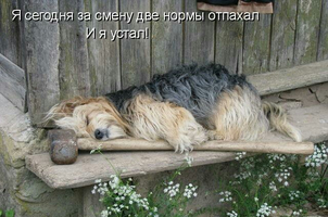 IMG_20171202_033657.webp