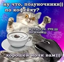 b6bn6doa2fouh4f908s3c844n0n3fmdl.webp