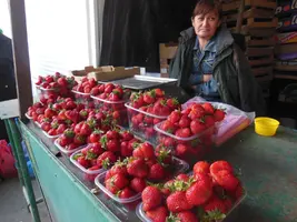DSCN1821.webp