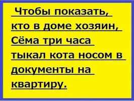 IMG_20171203_115143.webp