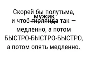 IMG_9906.webp