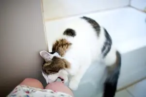 imgs_touch-5.webp