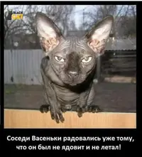 IMG_20171204_121317.webp
