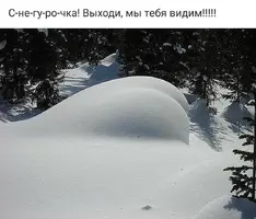 A41DEF8F-21F8-4534-8A94-CAD51F82386A.webp