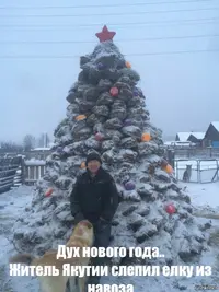 IMG-20171206-WA0010.webp