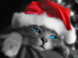 1_1024x768.webp