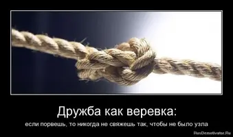 149372_600.webp