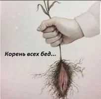 IMG-20171210-WA0002.webp