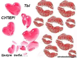 888258255.webp