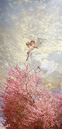 40A4233B-70B7-453C-935C-70B1FFEC3EB8.webp