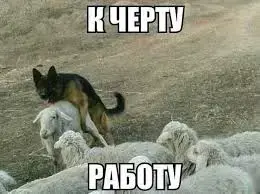 images.webp