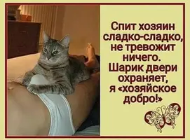 IMG_20171216_142633.webp